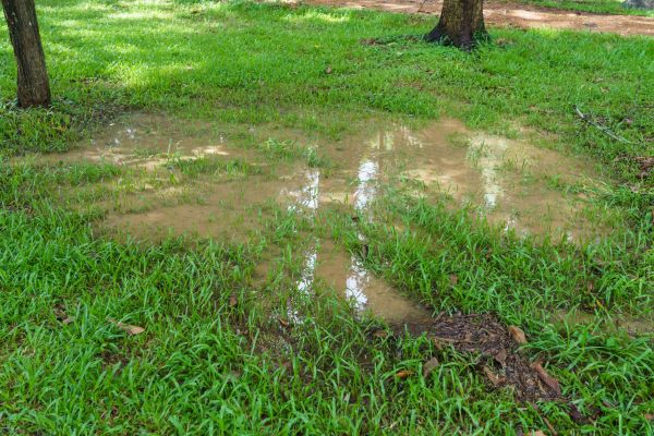 Cost of Storm Water Drainage Service in Westlake