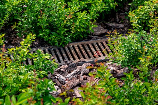 Cost of Underground Drainage Service in Westlake