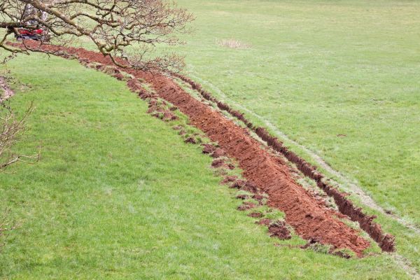 Cost of Swale Installation in Westlake
